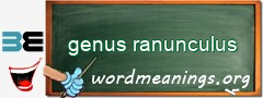 WordMeaning blackboard for genus ranunculus